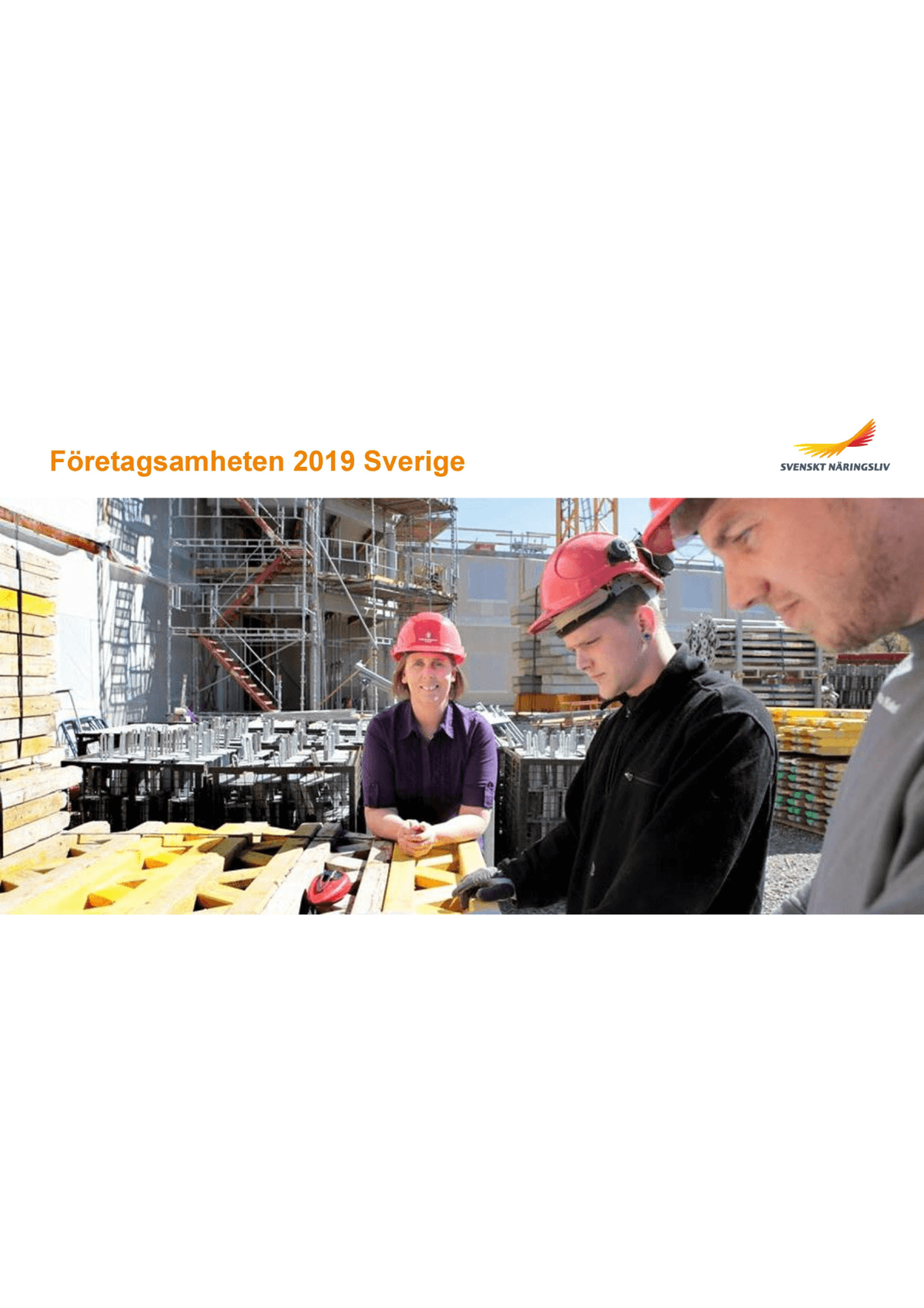 Företagsamheten 2019