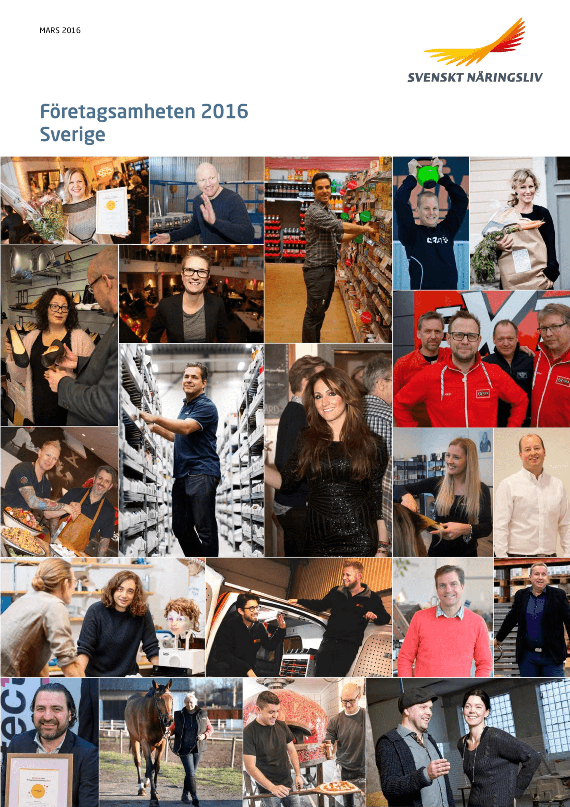 Företagsamheten 2016