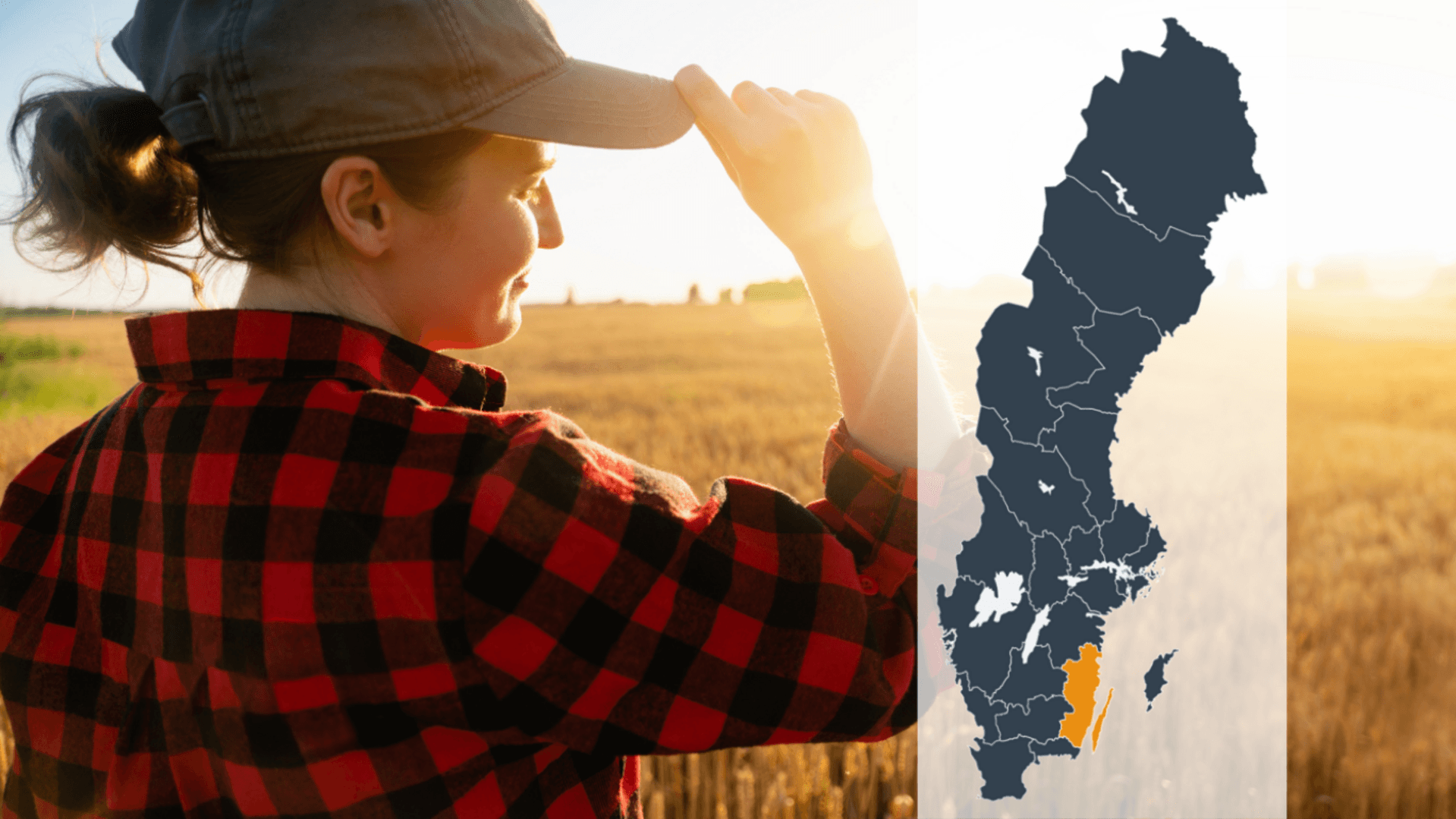 Kollage av en person som blickar ut över ett gult fält tillsammans med en Sverigekarta där Kalmar län är markerat